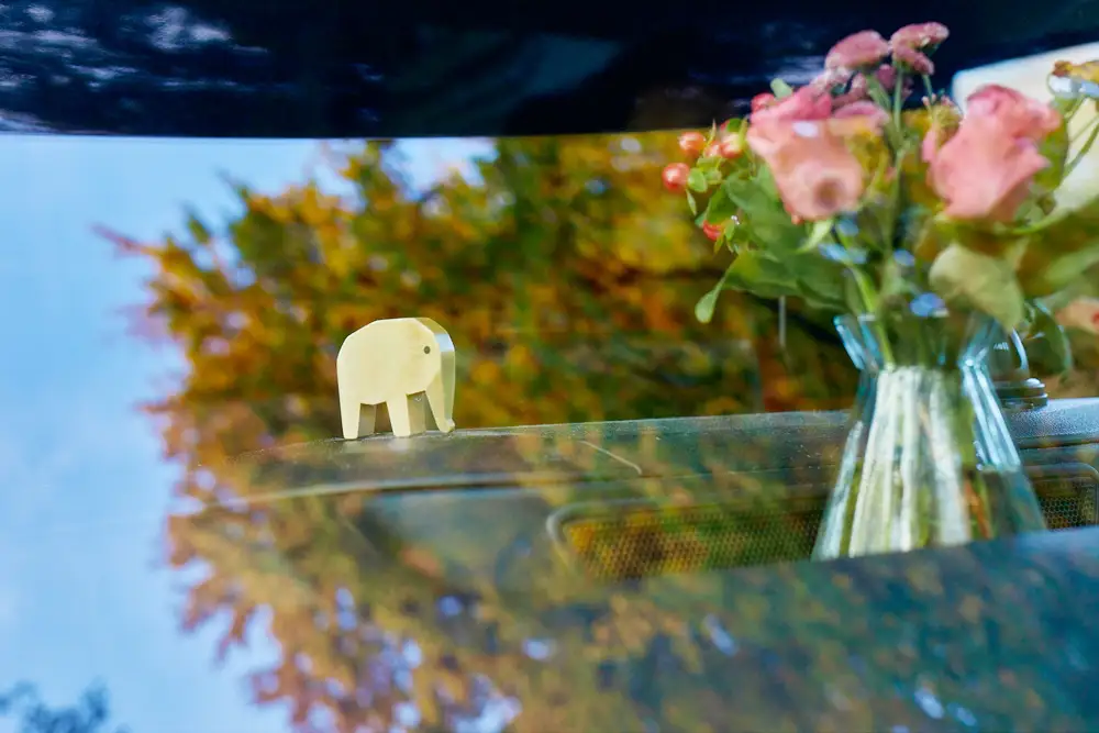 School of Hearts - Nicole Lenner - Lebensberatung und Einzelberatung